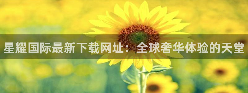 wtt美国大满贯官网