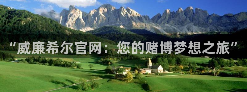 大满贯app安卓版