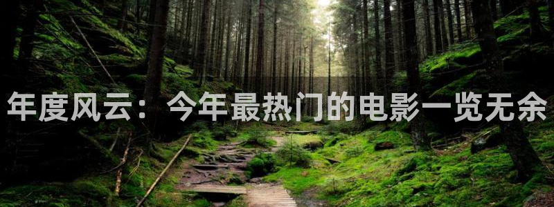 大满贯网站