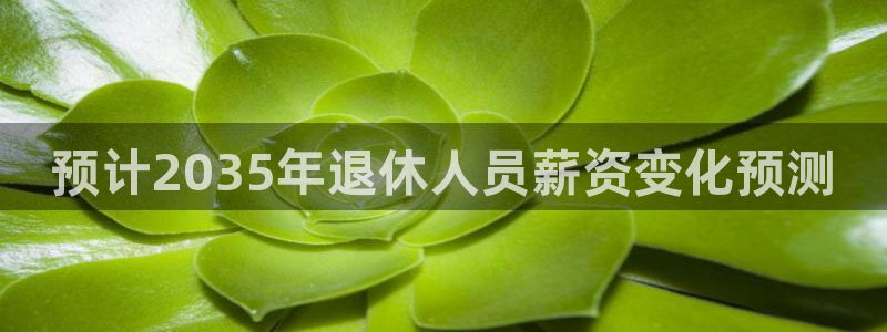 大满贯官方正版入口