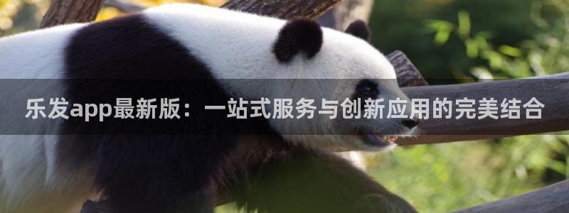 大满贯平台网址dmg588：乐发app最新版：一站式服务与创新应用的完美结合