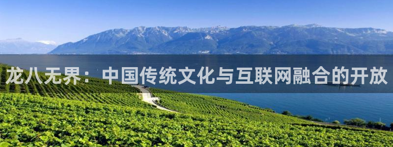 大满贯网址：龙八无界：中国传统文化与互联网融合的开放