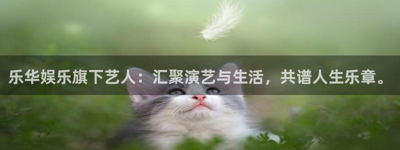 pg大满贯平台官网