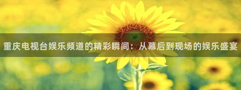 超级大满贯下载：重庆电视台娱乐频道的精彩瞬间：从幕后到现场的娱乐盛宴