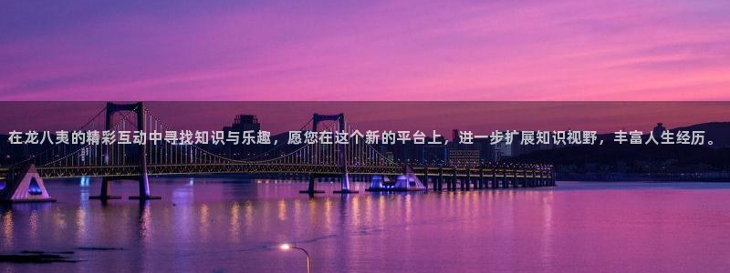 大满贯软件网站