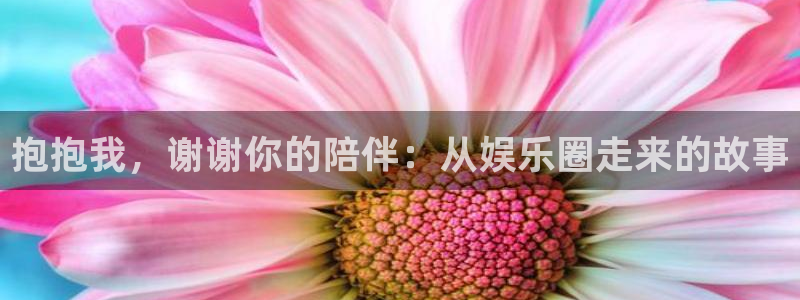 大满贯软件网站：抱抱我，谢谢你的陪伴：从娱乐圈走来的故事