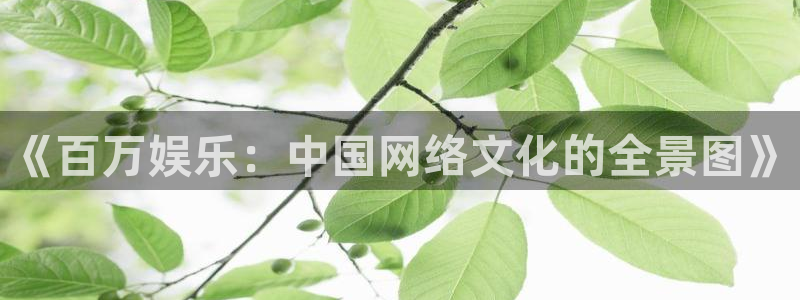 大满贯娱官网app下载入口：《百万娱乐：中国网络文化的全景图》