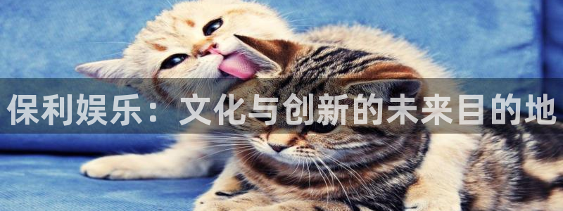 wtt美国大满贯官网：保利娱乐：文化与创新的未来目的地