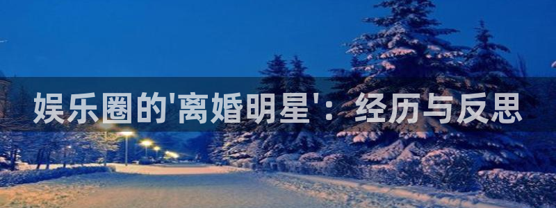 大满贯下载：娱乐圈的\'离婚明星\'：经历与反思