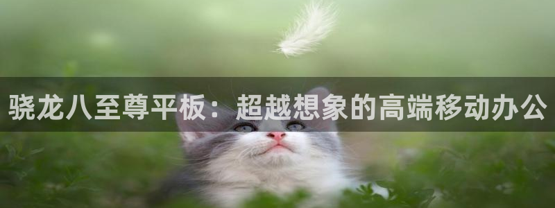 大满贯棋牌官网下载：骁龙八至尊平板：超越想象的高端移动办公