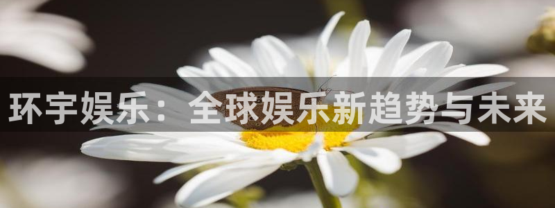 大满贯棋牌网址