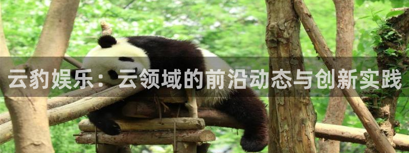 大满贯平台网址：云豹娱乐：云领域的前沿动态与创新实践