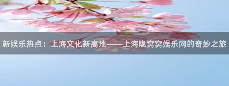 大满贯官网登录入口：新娱乐热点：上海文化新高地——上海隐窝窝娱乐网的奇妙之旅