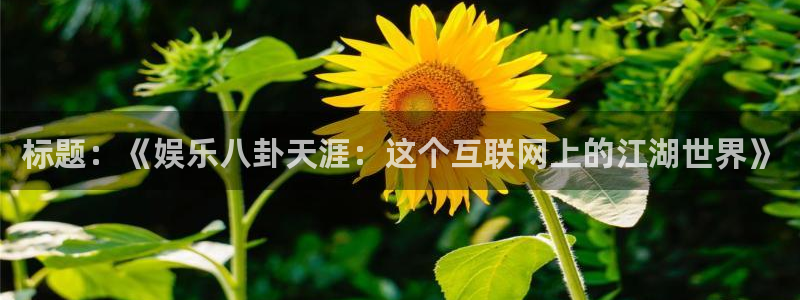 大满贯棋牌官网版：标题：《娱乐八卦天涯：这个互联网上的江湖世界》