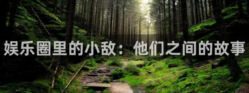 超级大满贯2官网下载：娱乐圈里的小敌：他们之间的故事