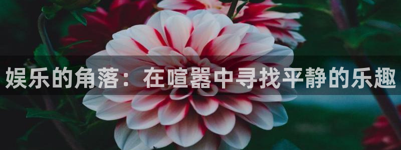 大满贯app安卓版：娱乐的角落：在喧嚣中寻找平静的乐趣