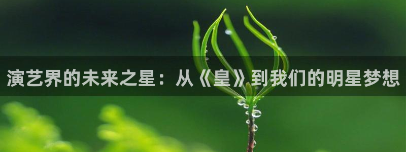 大满贯注册登录入口：演艺界的未来之星：从《皇》到我们的明星梦想