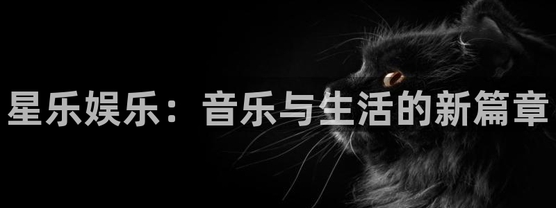 怀旧大满贯正版免费下载：星乐娱乐：音乐与生活的新篇章