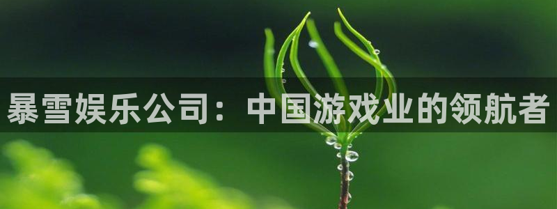 大满贯软件下载：暴雪娱乐公司：中国游戏业的领航者