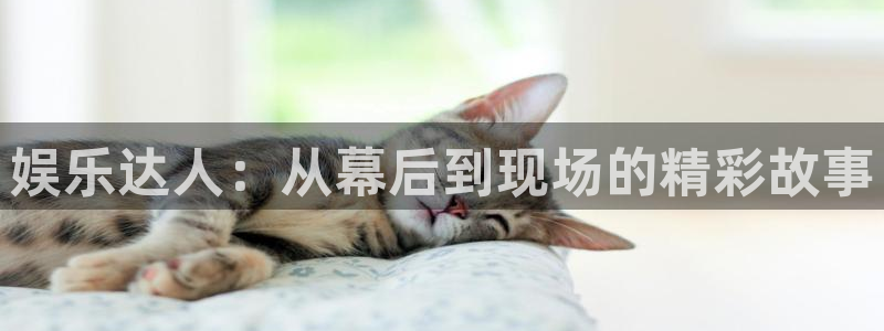 大满贯官网入口下载：娱乐达人：从幕后到现场的精彩故事