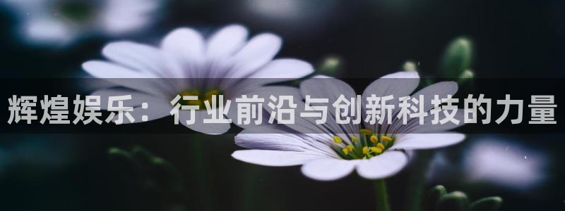 大满贯app登录入口官网：辉煌娱乐：行业前沿与创新科技的力量