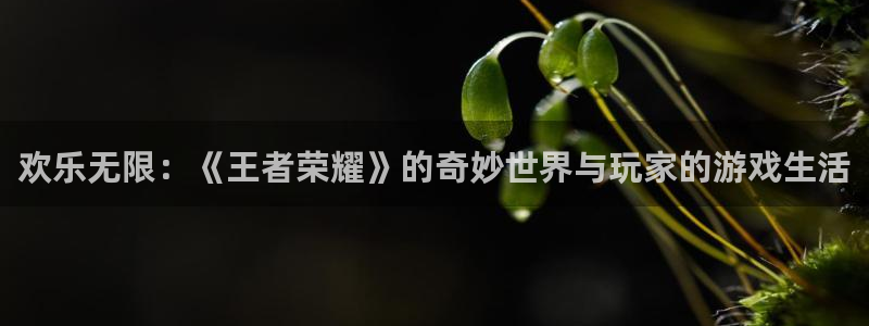 大满贯免费下载：欢乐无限：《王者荣耀》的奇妙世界与玩家的游戏生活