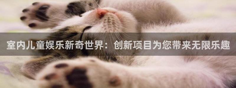 大满贯棋牌网：室内儿童娱乐新奇世界：创新项目为您带来无限乐趣