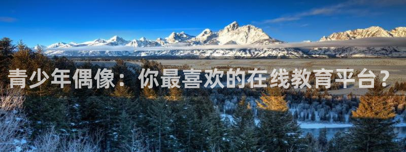 大满贯网站：青少年偶像：你最喜欢的在线教育平台？