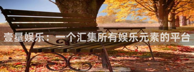 大满贯注册登录入口：壹星娱乐：一个汇集所有娱乐元素的平台