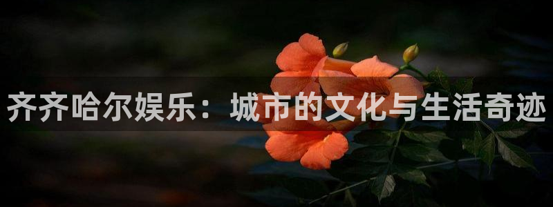 pg大满贯平台官网.：齐齐哈尔娱乐：城市的文化与生活奇迹