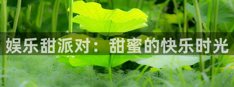 大满贯app官方下载：娱乐甜派对：甜蜜的快乐时光