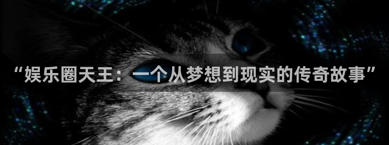 大满贯app登录入口官网：“娱乐圈天王：一个从梦想到现实的传奇故事”