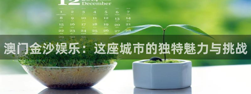 大满贯手机app下载：澳门金沙娱乐：这座城市的独特魅力与挑战